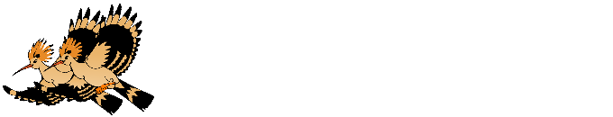 rudizimmerer logo